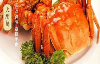 娱乐吃瓜君大闸蟹